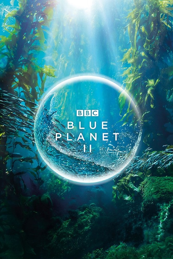 Blue Planet II | BBC Earth